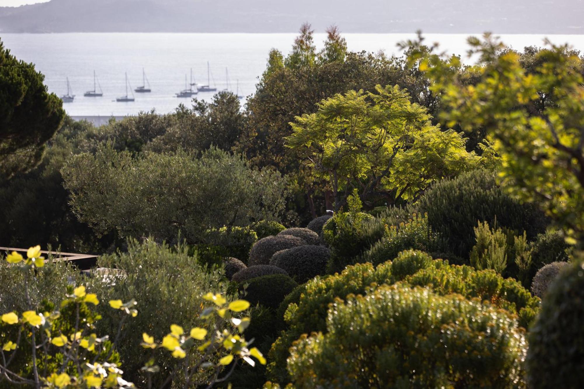 La Villa Calvi Calvi  Dış mekan fotoğraf